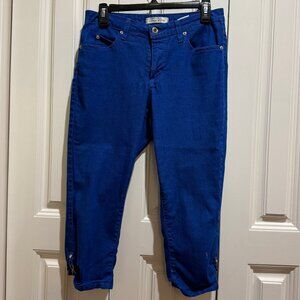 True Slim Jeggings Royal Blue